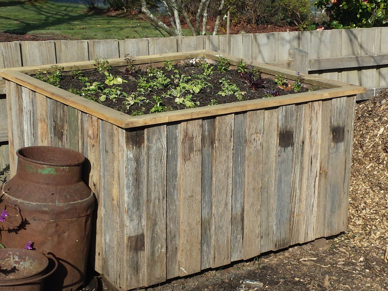 Hardwood Cladded Apple Bin - Dan the Veggie Bin Man