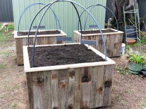 Hardwood Cladded Apple Bin - Dan the Veggie Bin Man