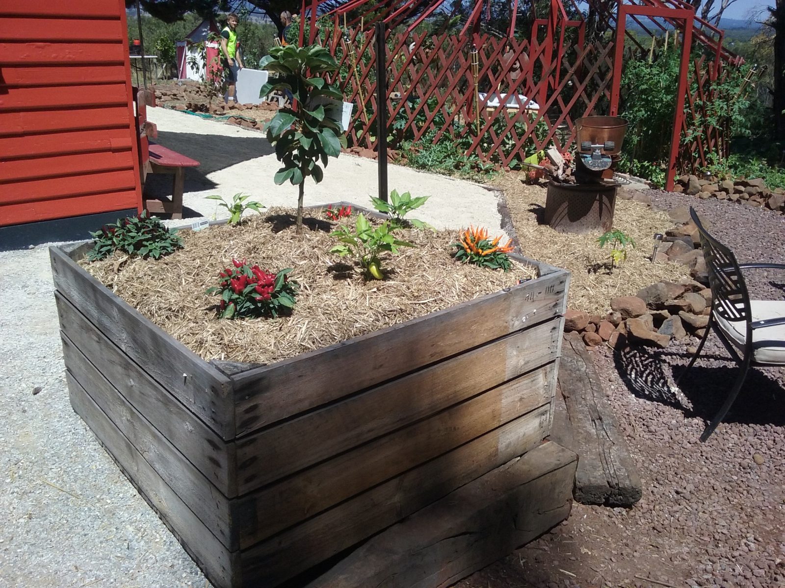 Gallery Dan the Veggie Bin Man