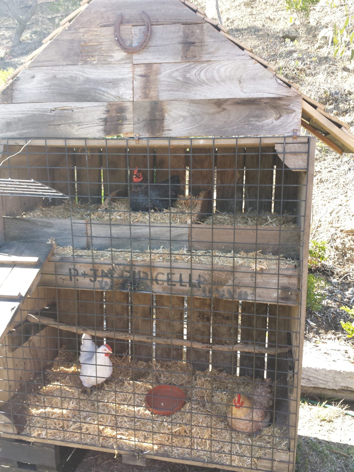 Gallery Dan the Veggie Bin Man