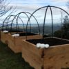 Raised Sleeper Garden beds (Reclaimed Cypress Pine) - Image 3