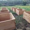Raised Sleeper Garden beds (Reclaimed Cypress Pine) - Image 8