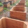 Raised Sleeper Garden beds (Reclaimed Cypress Pine) - Image 4