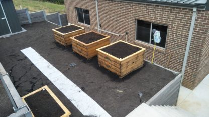 Ex large veggie box