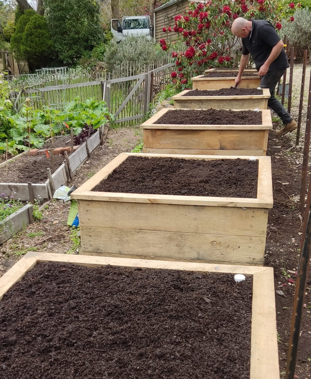 Special Offers Dan the Veggie Bin Man
