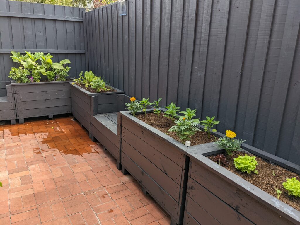 Gallery Dan the Veggie Bin Man