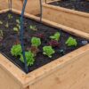 Cypress Sleeper Wicking beds 2x1m - Image 2