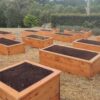 Cypress Sleeper Wicking beds 2x1m - Image 3