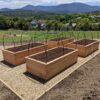 Cypress Sleeper Wicking beds 2x1m - Image 4